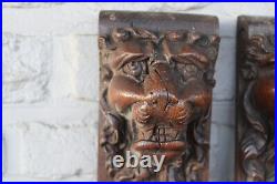 PAIR wood carved lion heads parts cabinet